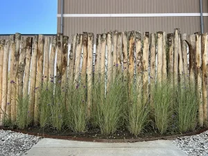 Tuin ontwerp bij Dalsen door Vorstelijke Tuinen