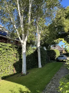 Tuinontwerp bij Reitsma door Vorstelijke Tuinen