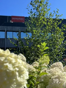 Bergman Clinics tuinontwerp