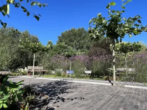 Bergman Clinics tuinontwerp