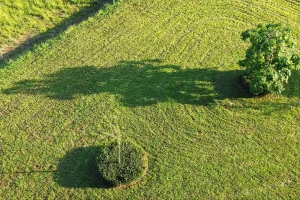 Doe inspiratie op bij Vorstelijke Tuinen, bekijk bijvoorbeeld deze Landschappelijke tuin