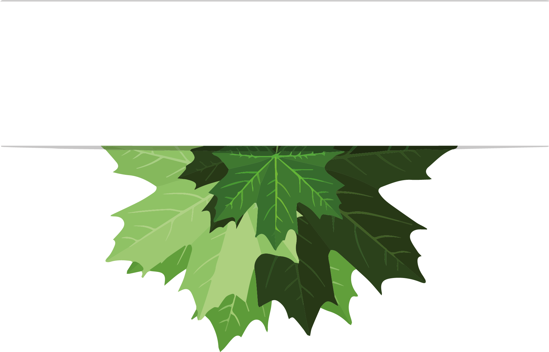 Vorstelijke Tuinen Logo