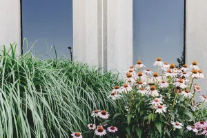 Doe inspiratie op bij Vorstelijke Tuinen, bekijk bijvoorbeeld deze Patio en Stadstuin