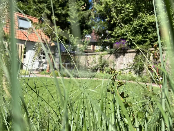 Tuin Ontwerp in Laren door Vorstelijke Tuinen